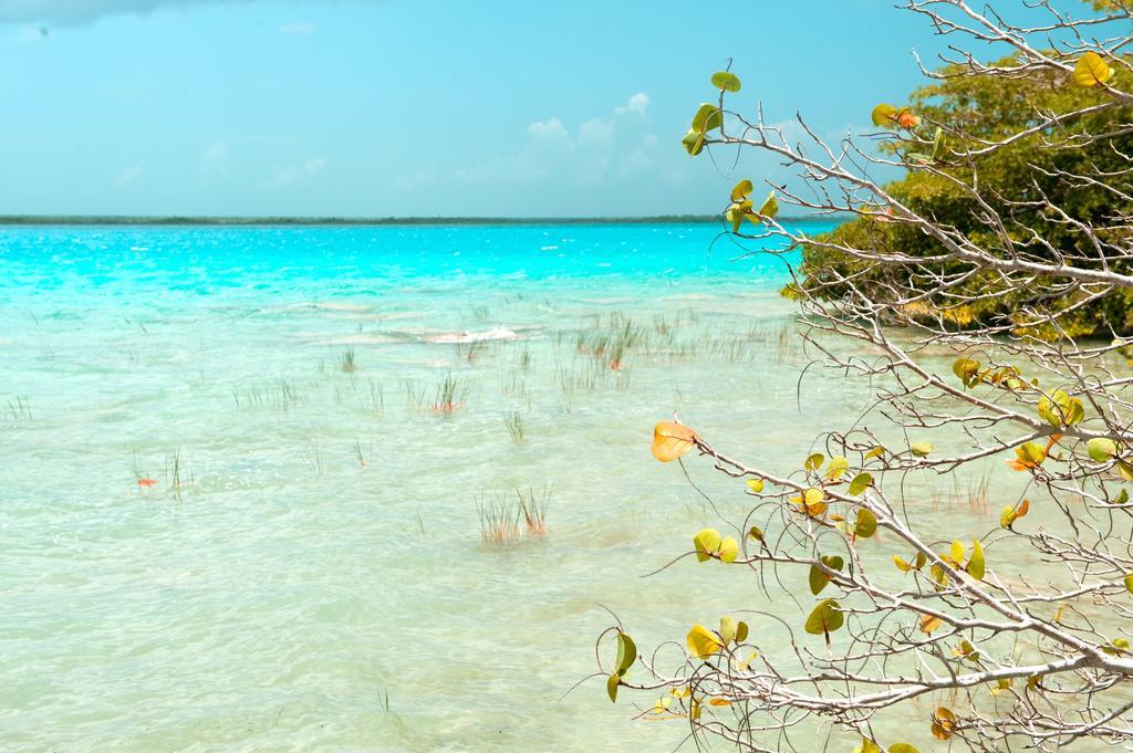 Hotel Rancho Encantado Bacalar Exterior foto